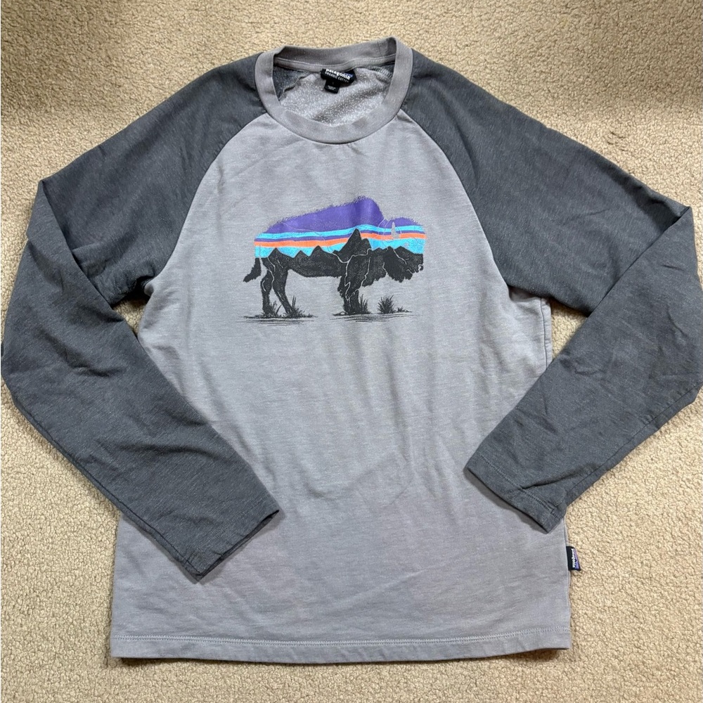 Patagonia Gray Organic Cotton Crewneck